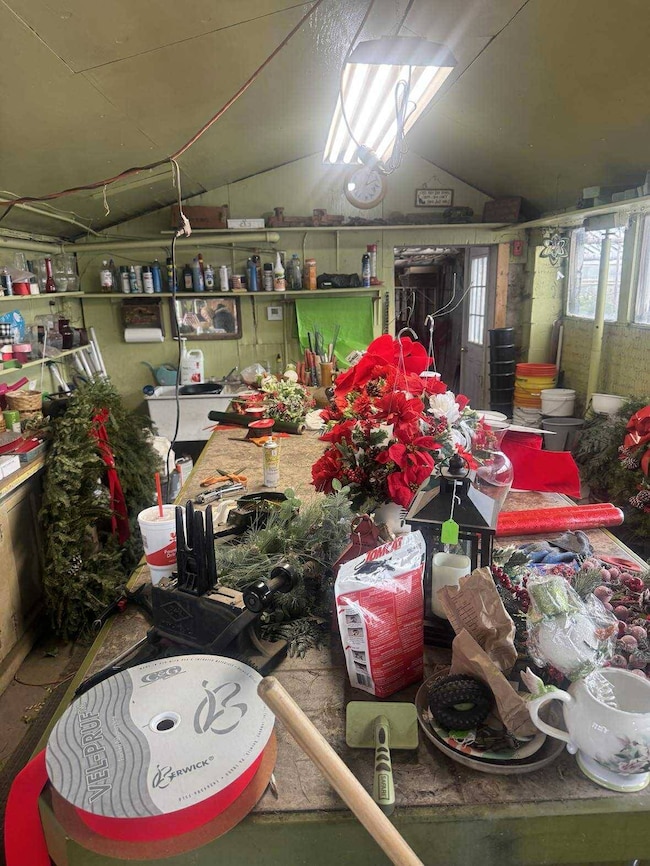 517 Grand Ave, Roodhouse, IL 62082 - photo 4