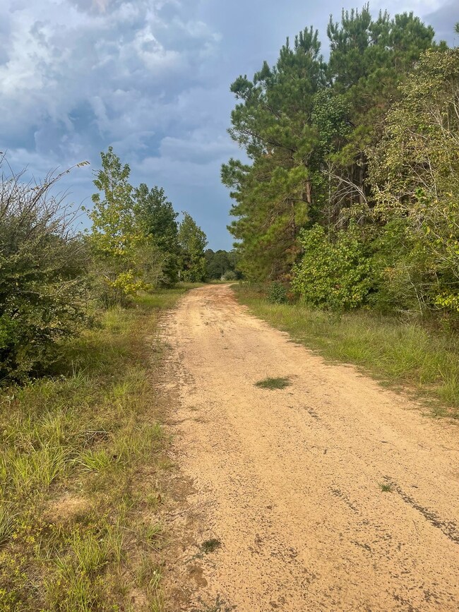 View of dirt / gravel road