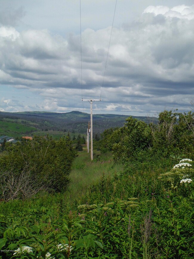 64965 Knob Hill Rd, Anchor Point, AK 99556 - photo 3