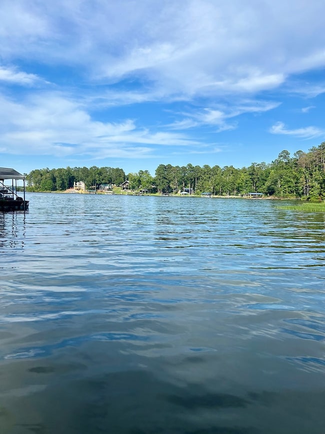 771 Calhoun Dr, Abbeville, AL 36310 - photo 3