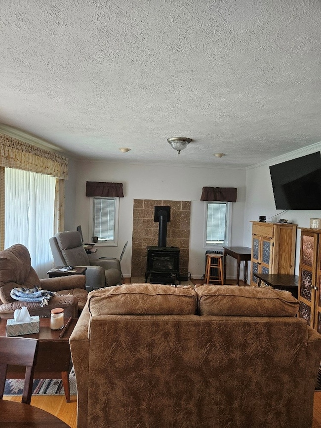 127 Anns Ln, Bastian, VA 24314 - photo 7