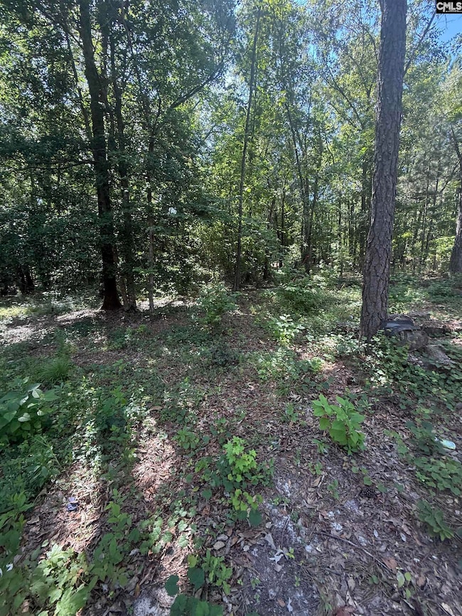 1503 Spears Creek Rd, Lugoff, SC 29078 - photo 7