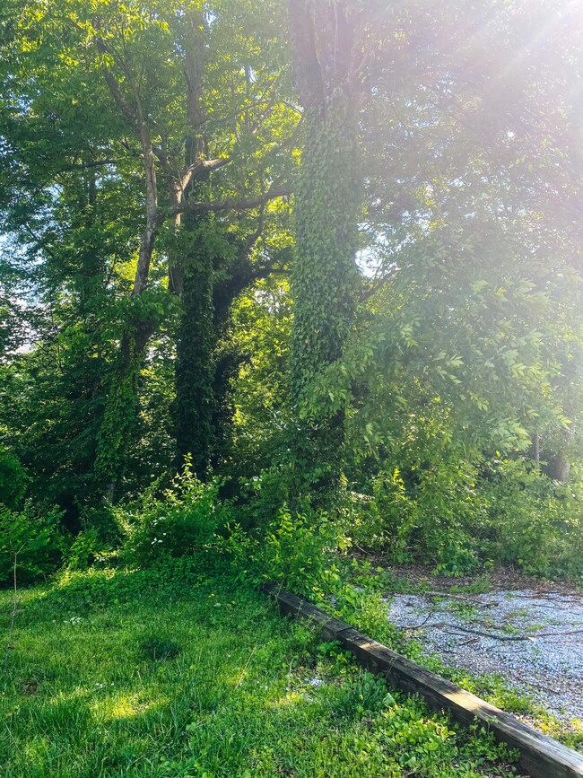 0 Red Oak Dr unit RTC2332729, Chattanooga, TN 37415 - photo 5