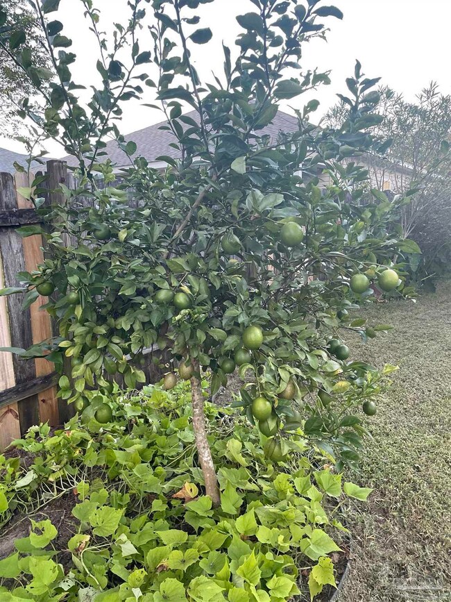 8901 Camelot Place, Pensacola, FL 32534 - photo 4