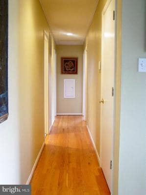 10704 Almond St, Fairfax, VA 22032 - photo 4