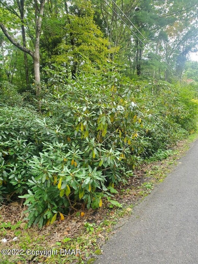 158 Lower Valley Dr, Kunkletown, PA 18058 - photo 2