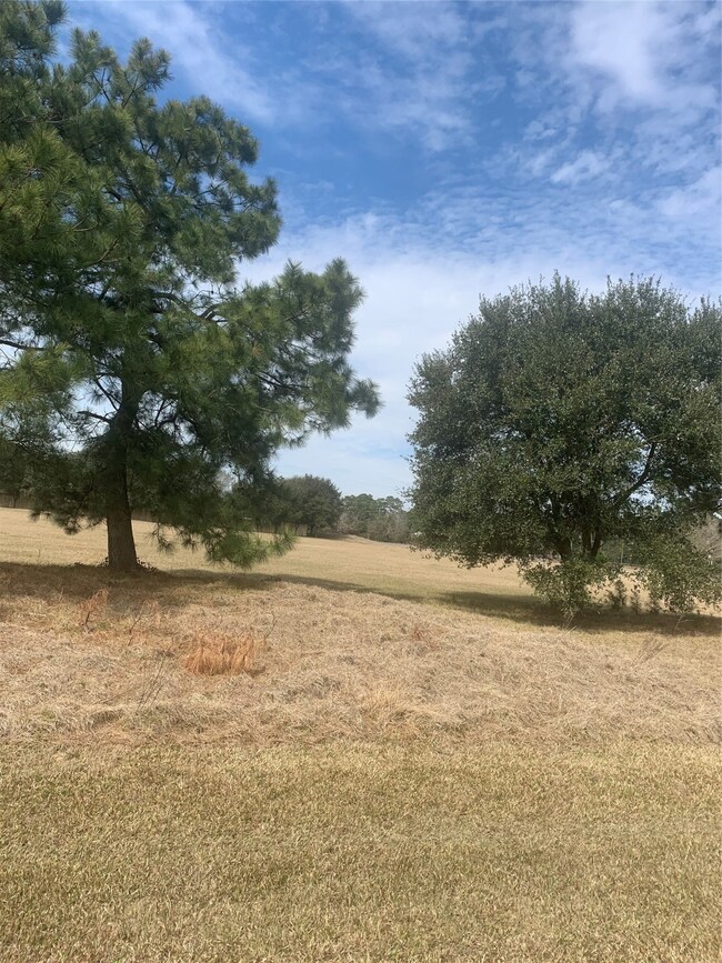 330 Meadow Lake, Magnolia, TX 77355 - photo 4