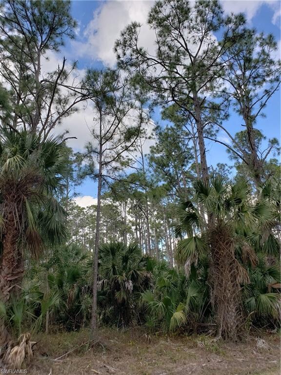 0 3rd St SW unit 219029589, Naples, FL 34117 - photo 4