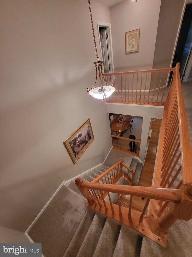 1 Pastern Terrace, Burlington, NJ 08016 - photo 5