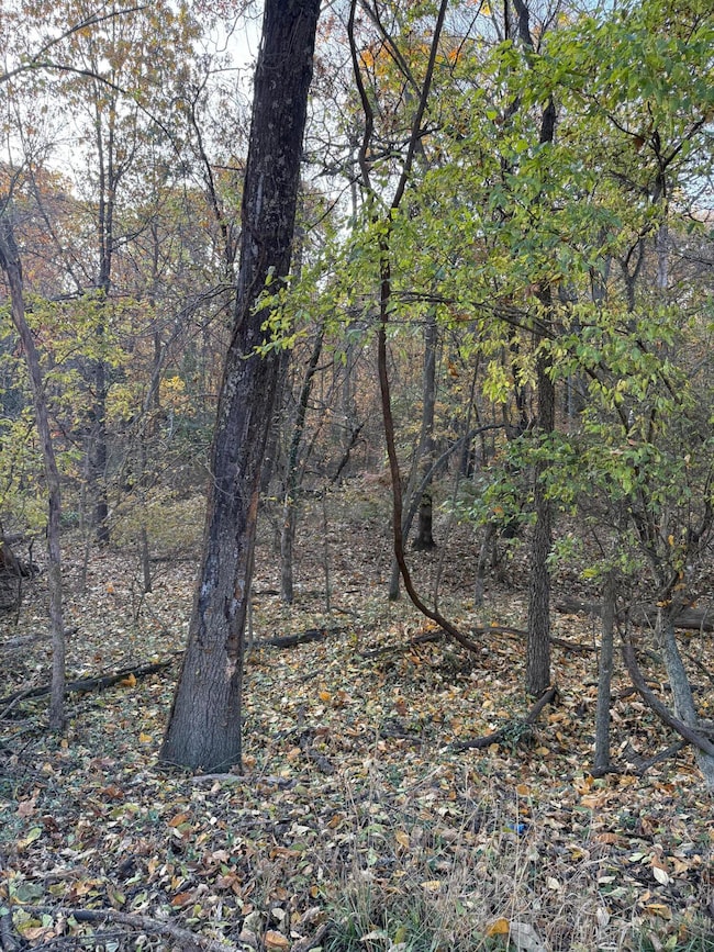 TBD Shady Lane Lot 8, Other, MO Other - photo 4