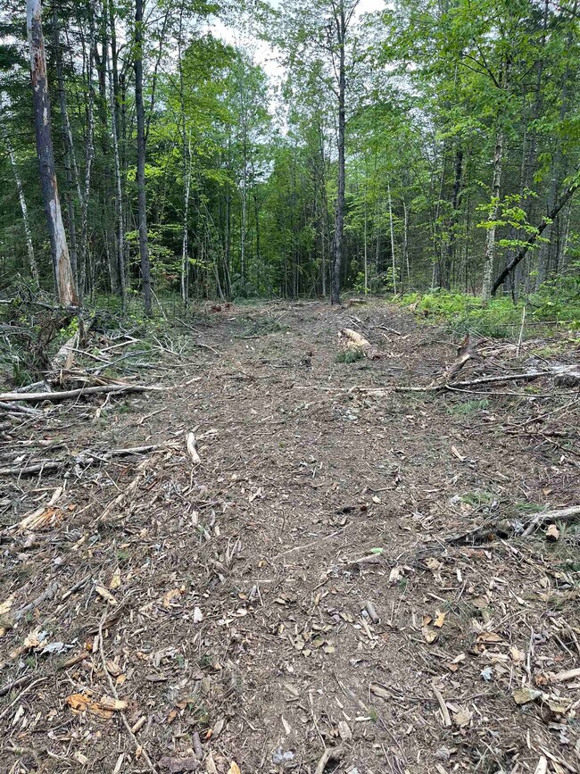 00 Vermont 102, Bloomfield, VT 05905 - photo 6