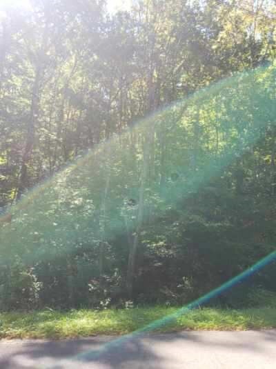 2410 Spangle Rd, Morristown, TN 37814 - photo 3