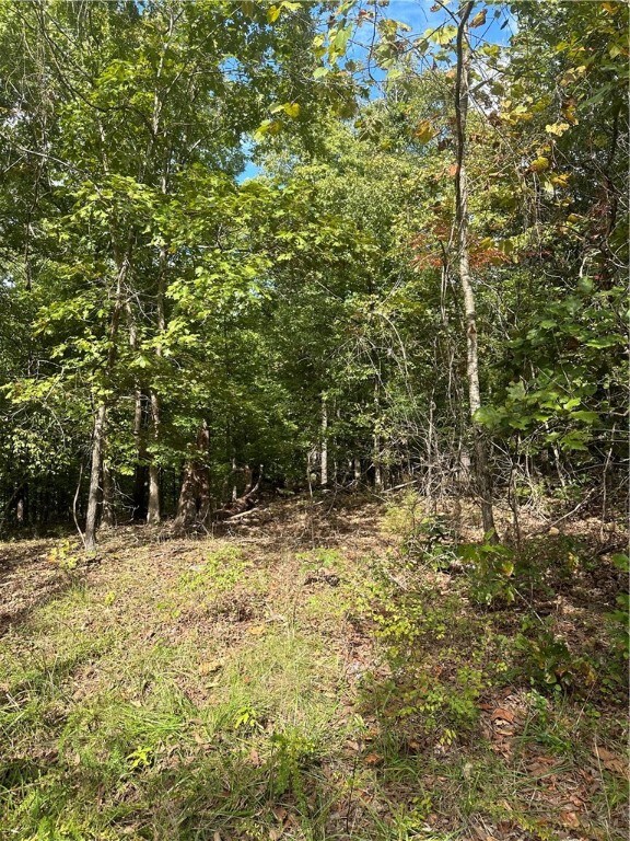 Lot 12 Blk 2 Bracknell Ln, Bella Vista, AR 72715 - photo 3
