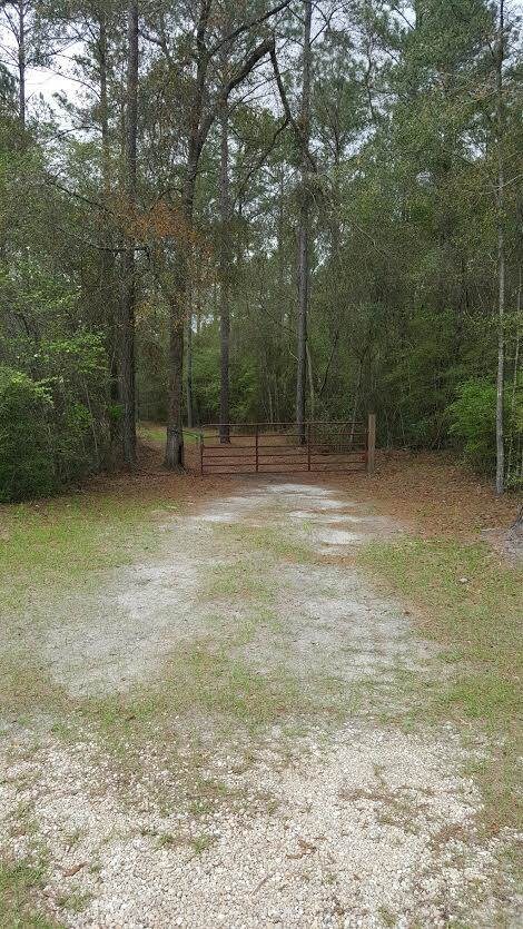 XX Steeple Chase Ln, Crawfordville, FL 32327 - photo 5