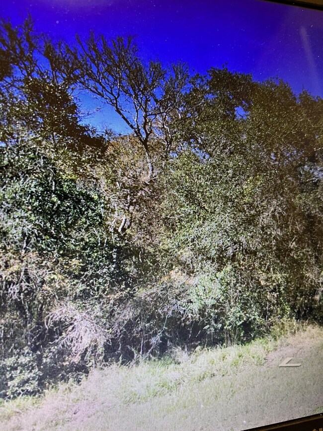 0 Tercero unit 22854898, Brazoria, TX 77422 - photo 3