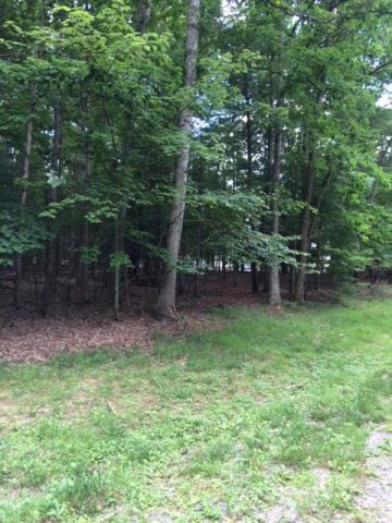 1402 Lake Dr unit 19, Daniels, WV 25832 - photo 4