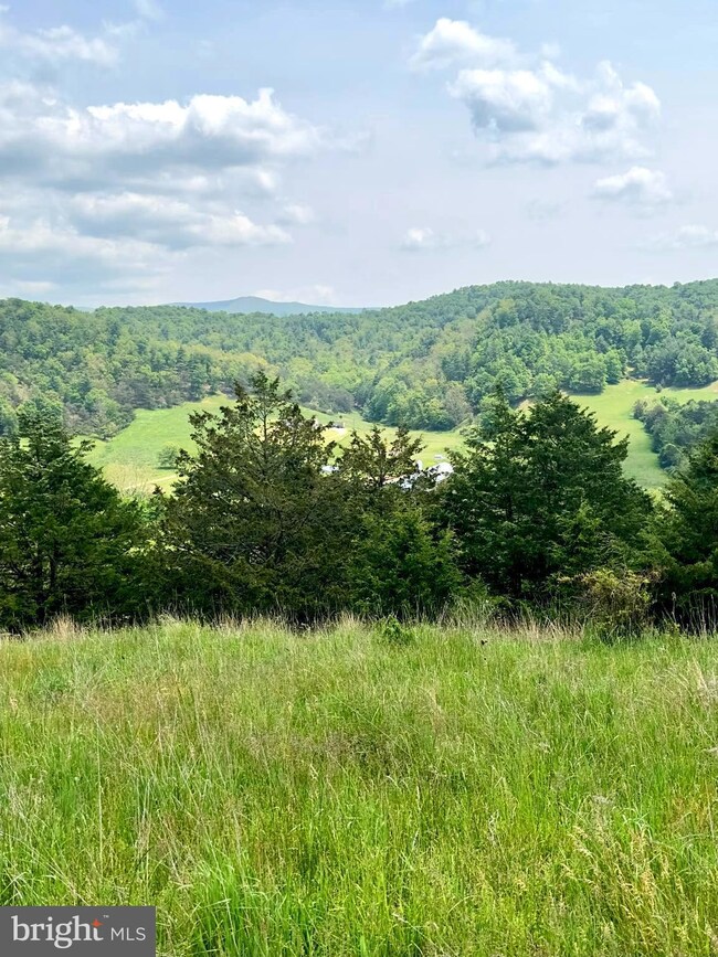 15 ac Honeycomb Ln, Sugar Grove, WV 26815 - photo 5