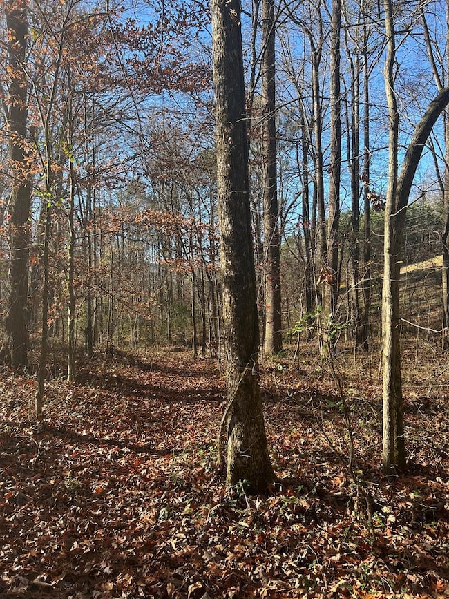 0 West R W Ridge Dr, Dalton, GA 30721 - photo 5