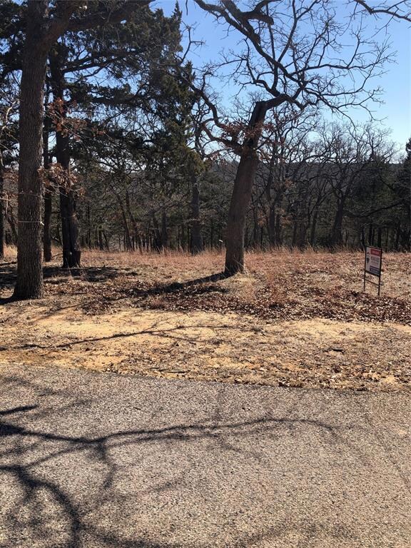 82 Oak Hills Dr, Pottsboro, TX 75076 - photo 2