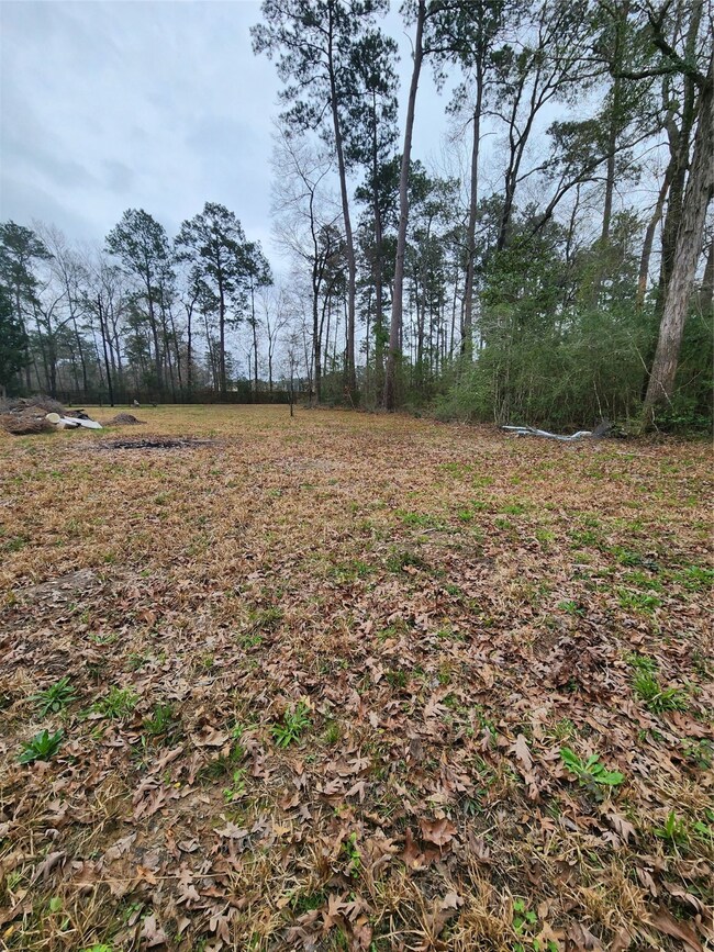 6 Lake Dr, Conroe, TX 77384 - photo 4