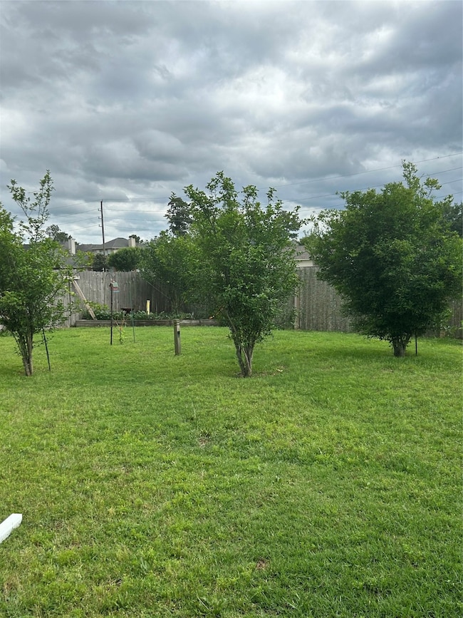 Large back yard
