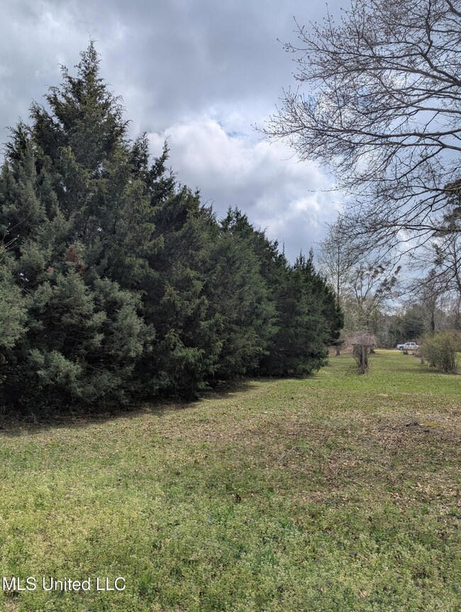 PXL_20250314_183449383