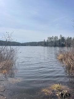 00 N Shore Rd, Gray, ME 04039 - photo 2