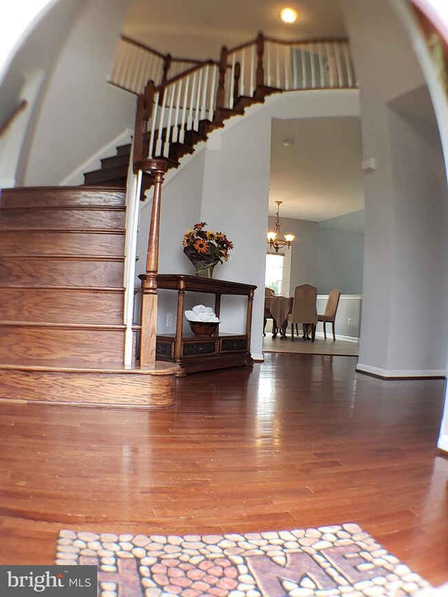 42517 Mandolin St, Chantilly, VA 20152 - photo 5