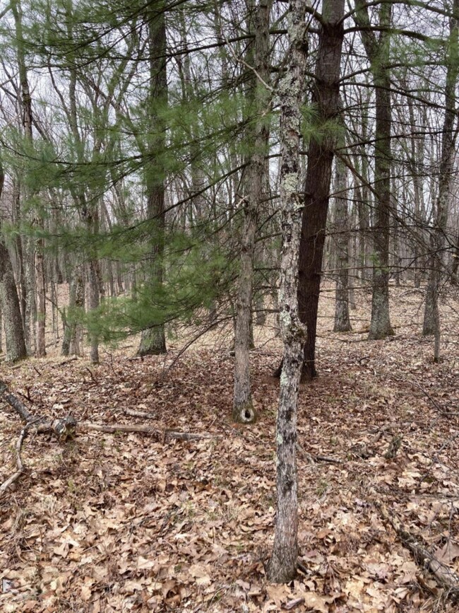 V/L W Oxpath St, Baldwin, MI 49304 - photo 2