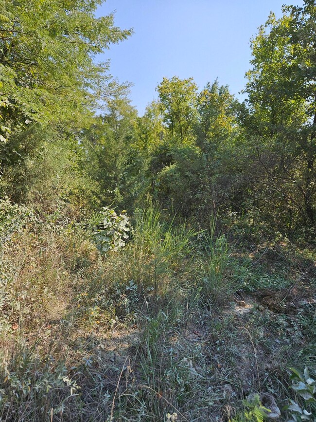 1926 E 555th Rd, Pleasant Hope, MO 65725 - photo 4