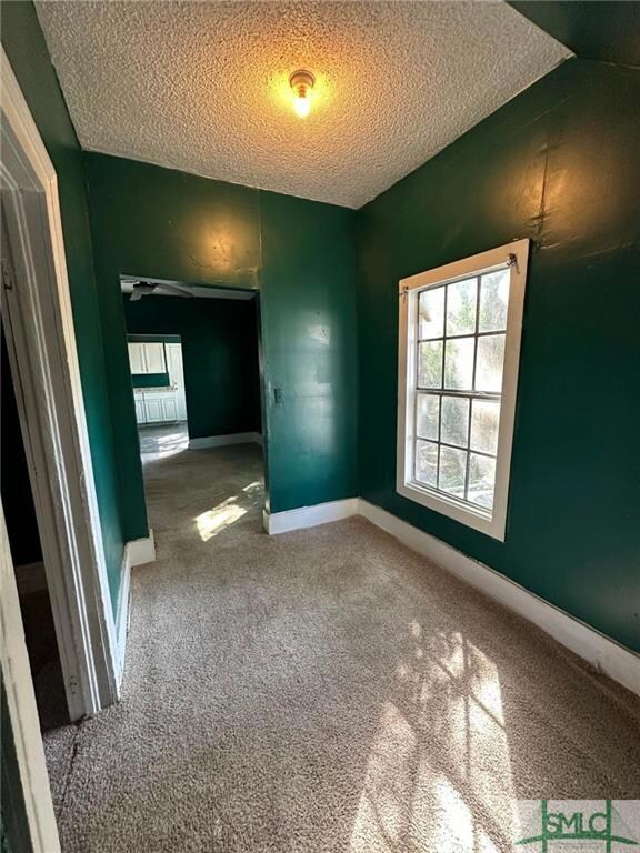 1207 E Bolton St, Savannah, GA 31404 - photo 5