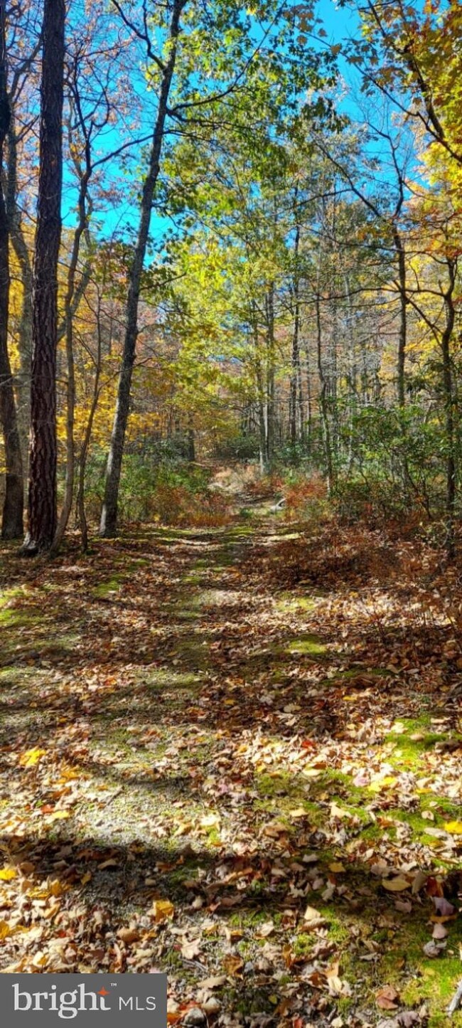 Lot 8A Little Mountain, Cabins, WV 26855 - photo 5