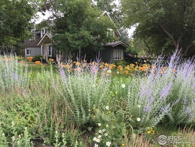 2500 Linden Ave, Boulder, CO 80304 - photo 3