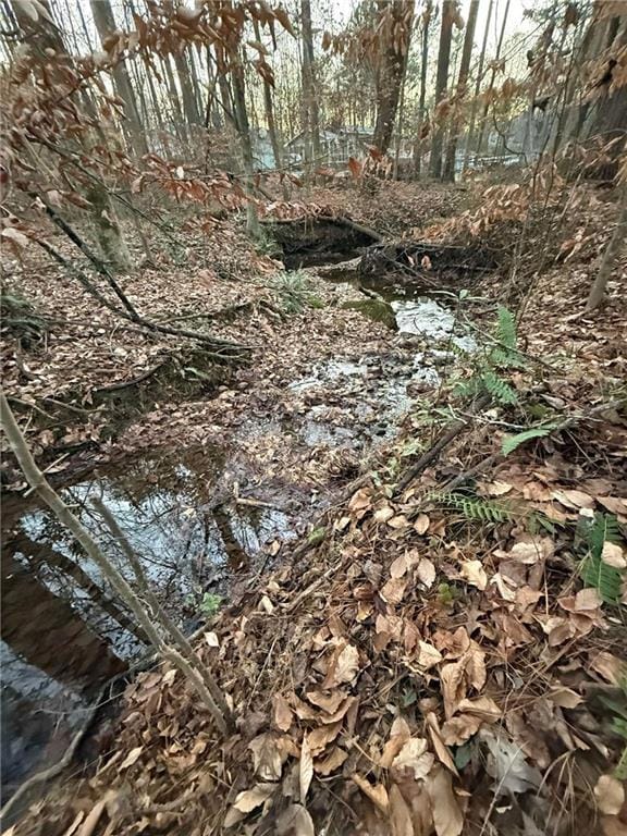 00 Marty Ln, Dallas, GA 30132 - photo 2