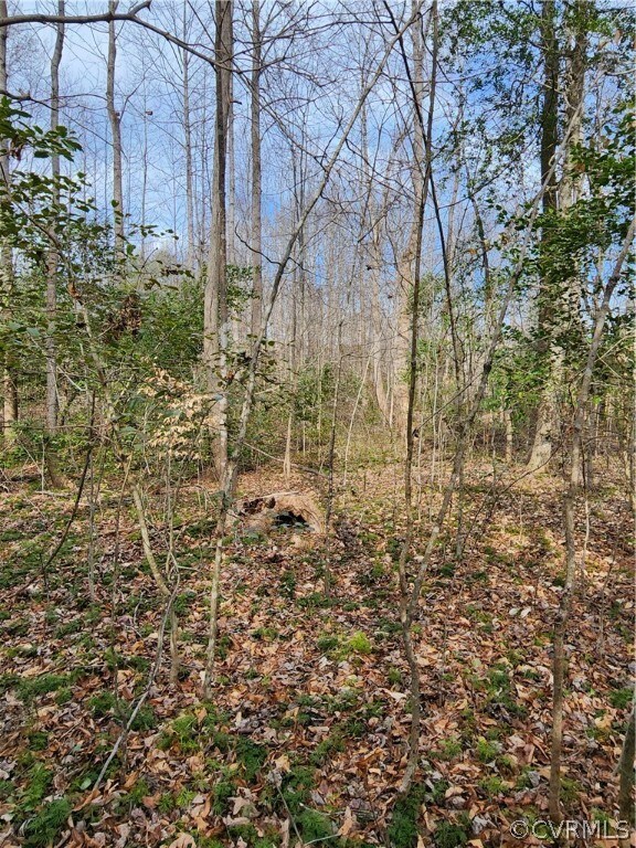 Potential homesite area