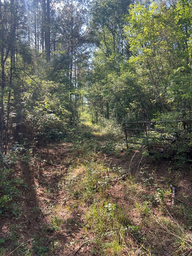 1049 Candy Ln, McComb, MS 39648 - photo 5