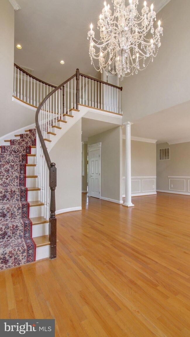 11100 Tommye Ln, Reston, VA 20194 - photo 6