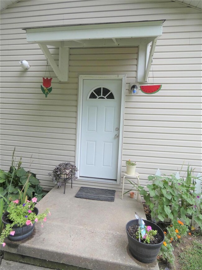 207 E Apple St, Freeburg, IL 62243 - photo 4