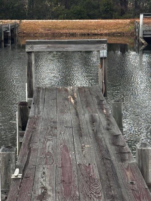 254 Ridge Lake Dr, Manning, SC 29102 - photo 6