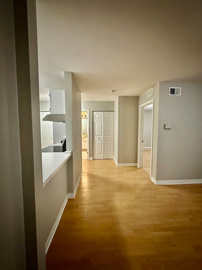 Kirchoff Meadows unit 106, Rolling Meadows, IL 60008 - photo 4