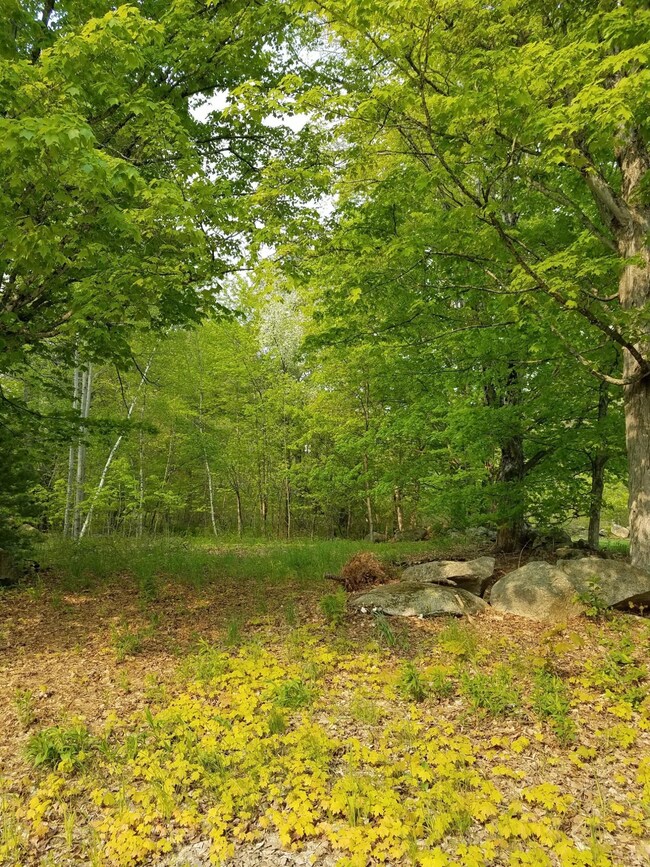 54 Old Elm Rd, Bridgton, ME 04009 - photo 3