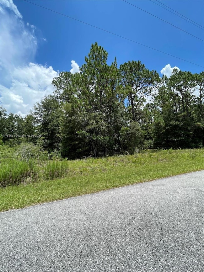 tbd SW 59th Ln, Dunnellon, FL 34431 - photo 4