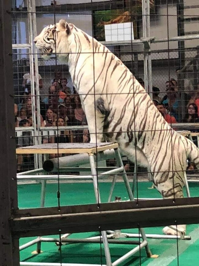 249 Hoffer St, Port Charlotte, FL 33953 - photo 7