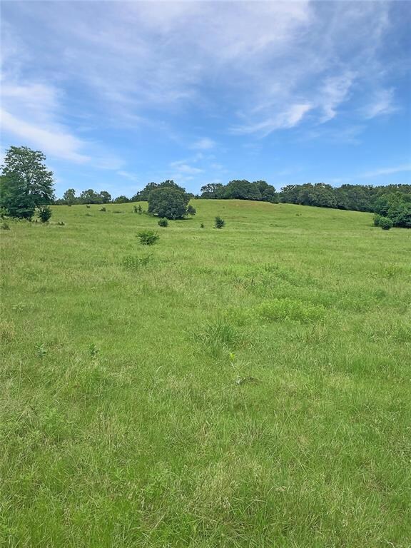 View of undeveloped land featuring rural landscape