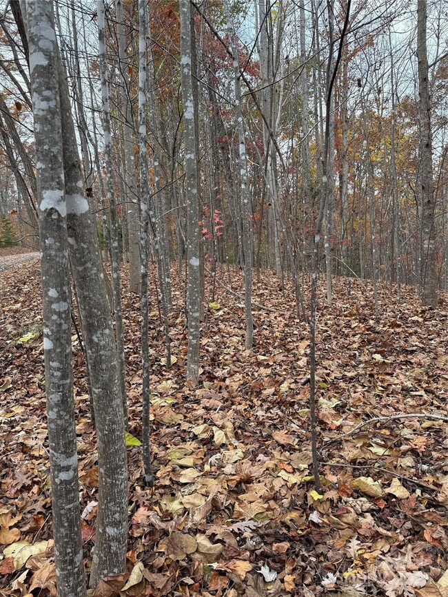 V/L Lot 112 Trail Ridge, Marion, NC 28752 - photo 7