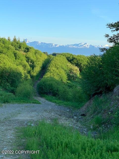 Trail on Side of property