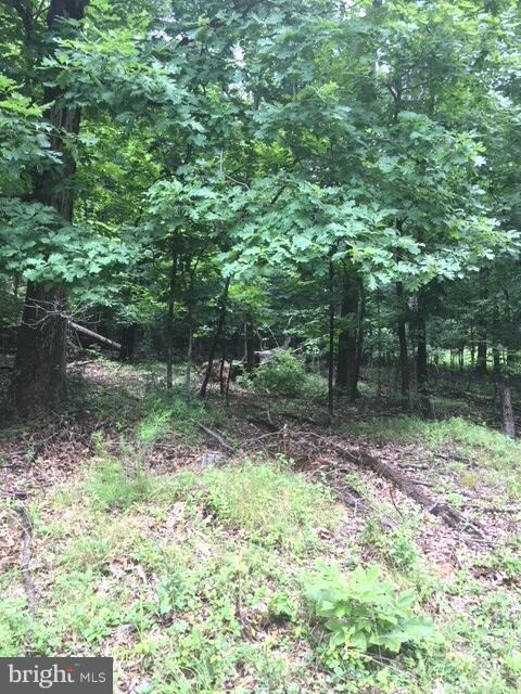 0 Cedar Ln unit 1002084256, Buckmarsh, VA 20135 - photo 6