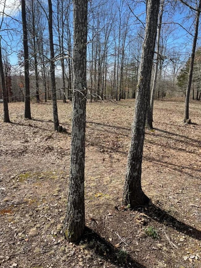 769 Fry Rd, Harriet, AR 72639 - photo 5