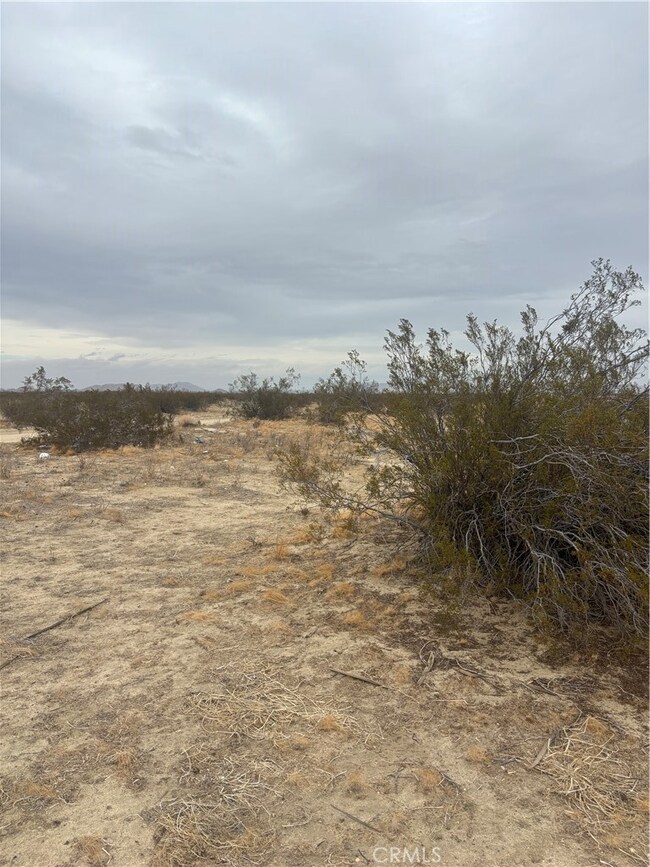 0 Ste Vic unit SR25261453, Black Butte, CA 93591 - photo 6