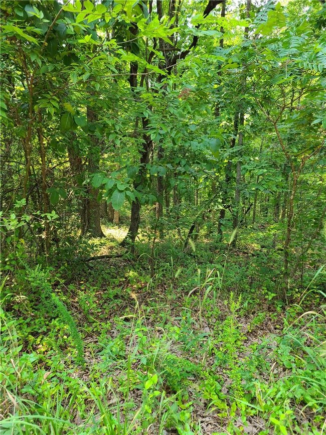 0 Lot 4 Chatburn Dr unit 1192140, Bella Vista, AR 72715 - photo 4